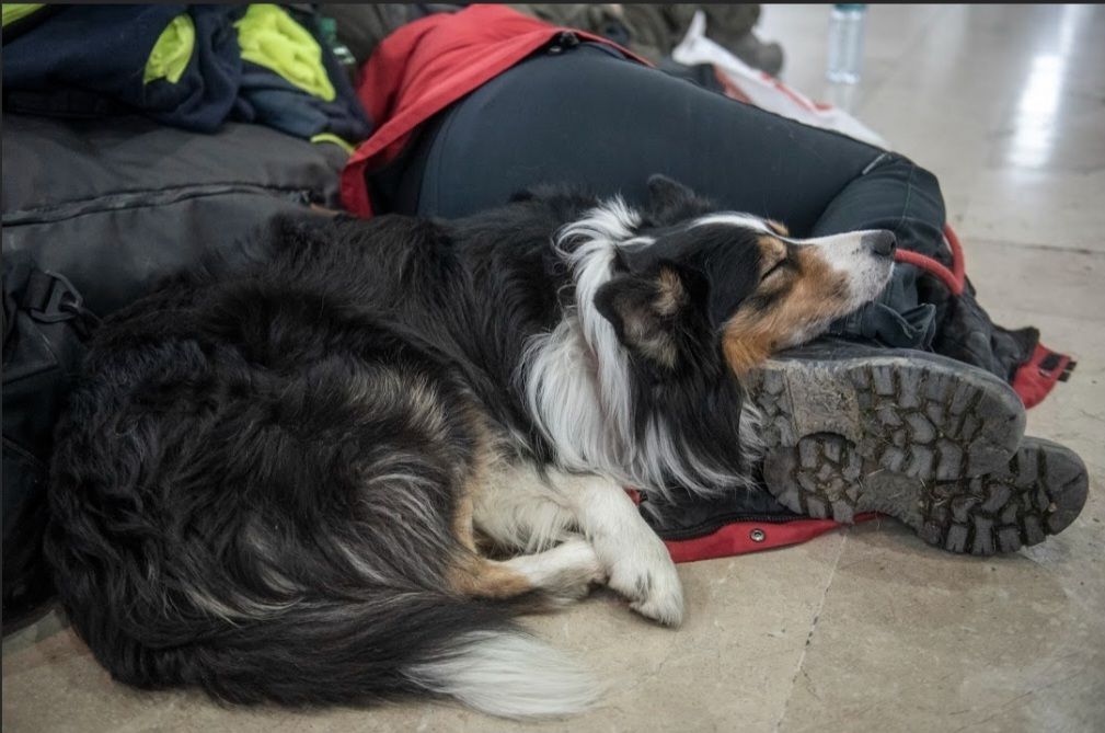 I Feel the Earth Move Under My Feet